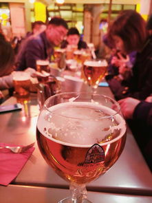 冬游法蘭西,從巴黎圣母院至圖盧茲古城,凱旋門下黃馬甲出沒