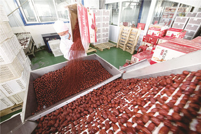 爬坡過(guò)坎 脫貧致富換新顏